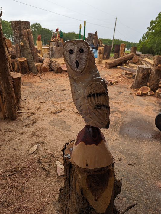 Chainsaw carved Barn Owl (20" tall)